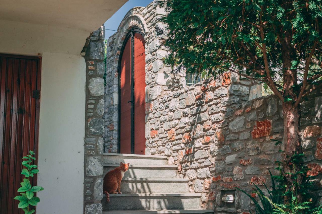Casa Di Bella Βίλα Marathos  Εξωτερικό φωτογραφία